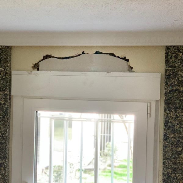 WhatsApp Image 2021-03-02 at 21.27.05