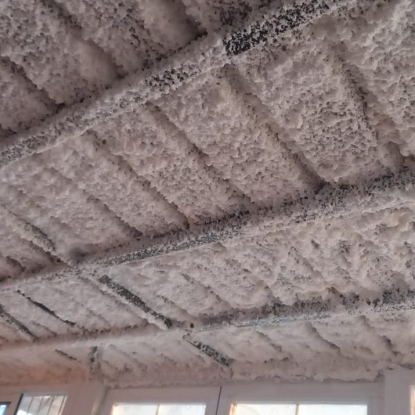 WhatsApp Image 2021-07-21 at 07.21.59