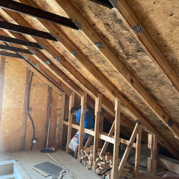 WhatsApp Image 2021-08-24 at 16.57.02 (3)