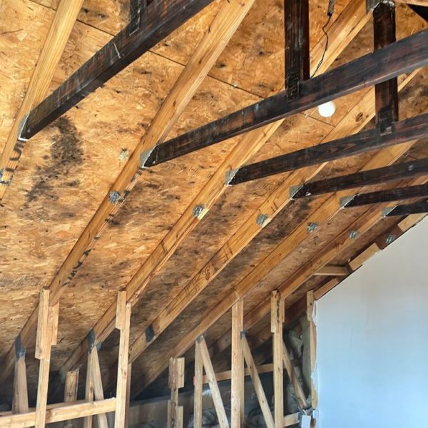 WhatsApp Image 2021-08-24 at 16.57.02 (4)