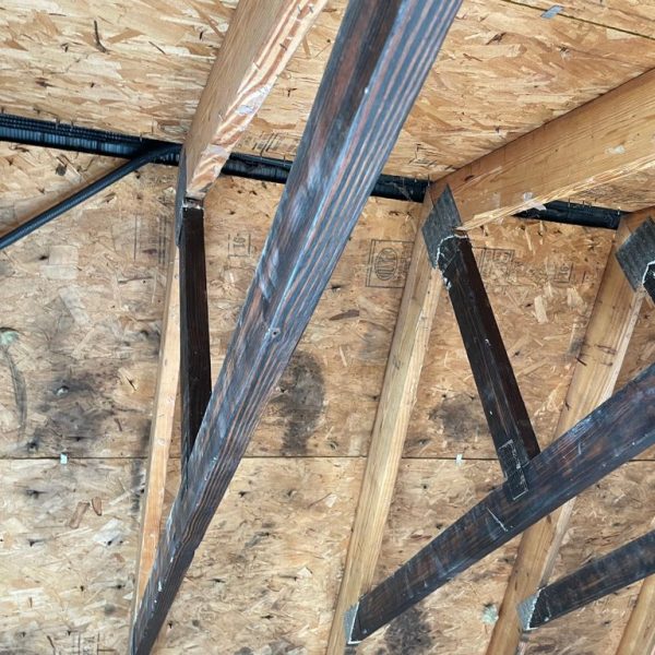 WhatsApp Image 2021-08-24 at 16.57.02 (5)