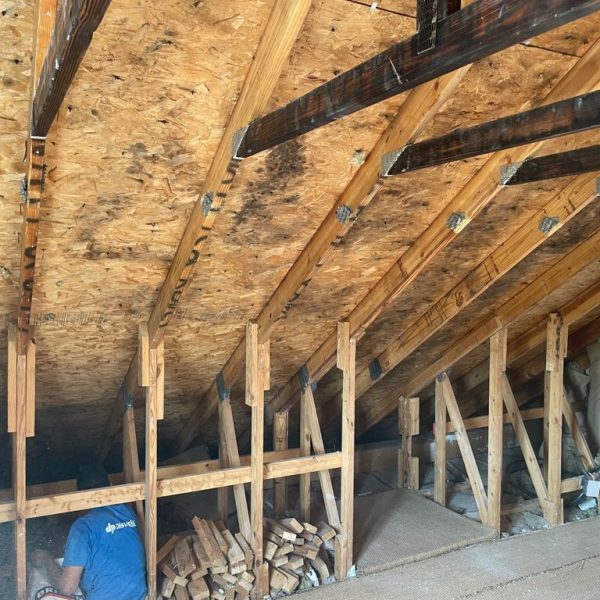 WhatsApp Image 2021-08-24 at 16.57.02 (6)