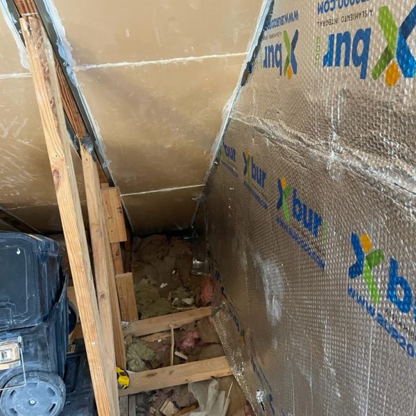 WhatsApp Image 2021-08-28 at 13.34.51 (4)