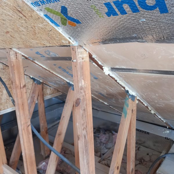 WhatsApp Image 2021-09-11 at 10.57.43 (3)